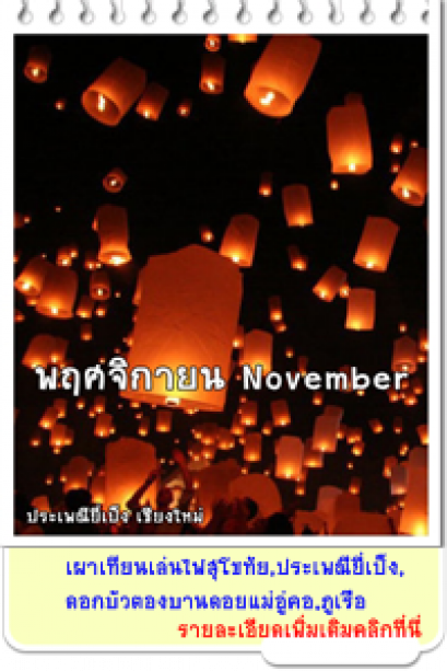 พฤศจิกายน