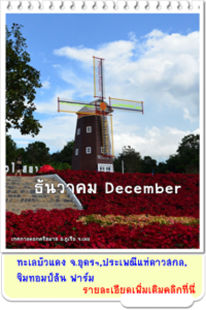 ธันวาคม