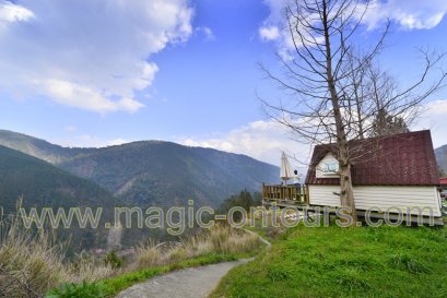 เที่ยวไต้หวันอิสระด้วยตัวเอง ไต้หวันออนทัวร์ ตอน 22 @ ฟาร์มอู๋หลิง ดินแดนหุบเขาซากุระ