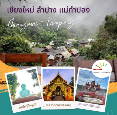 ทัวร์เชียงใหม่ ลำปาง แม่กำปอง ม่อนแจ่ม ปราสาทดอกไม้ ฟาร์มแกะอัลปาก้า สไลด์เดอร์สีรุ้ง พักโฮมเสตย์บ้านแม่กำปอง ไหว้พระใหญ่ไดบุตสึ ลำปาง ชมพระอาทิตย์ขึ้นและทะเลหมอก วัดพระธาตุดอยพระฌาน| ทัวร์เชียงใหม่ ทัวร์ลำปาง ทัวร์ม่อนแจ่ม ทัวร์ปราสาทดอกไม้ ทัวร์ฟาร์มแกะ