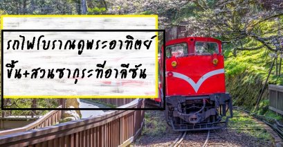 รายการทีวีรถไฟโบราณดูพระอาทิตย์ขึ้น+สวนซากุระที่อาลีซัน