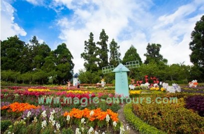 เที่ยวไต้หวันอิสระด้วยตัวเอง ไต้หวันออนทัวร์ ตอน 12 @ เดินเล่นในสวนกลางคืนที่ชิงจิ้ง ชมน้ำพุเต้นระบำ