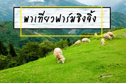 ฟาร์มชิงจิ้ง