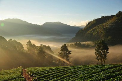 ดอยอ่างขาง ม่อนแจ่ม ไร่ชา ดอยสุเทพ เชียงใหม่ (กรุ๊ปส่วนตัว)