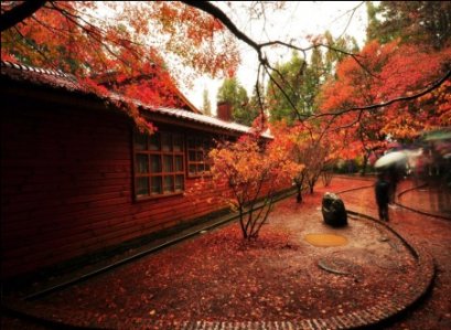 ฟาร์มอู๋หลิง ฝูโซ้ซาน ชิงจิ้ง | ทัวร์ไต้หวัน เที่ยวไต้หวันกรุ๊ปส่วนตัว เที่ยวไต้หวันเจาะลึก | ทัวร์ฟาร์มอู๋หลิง ทัวร์ฝูโซ้ซาน ทัวร์ฟาร์มชิงจิ้ง 6D4N