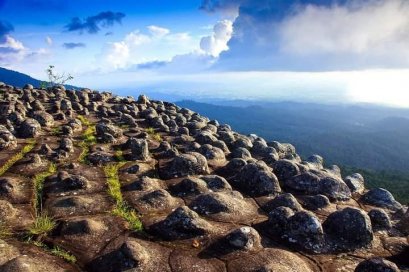 อุทยานแห่งชาติภูหินร่องกล้า จังหวัดพิษณุโลก | เพชรบูรณ์  | เลย