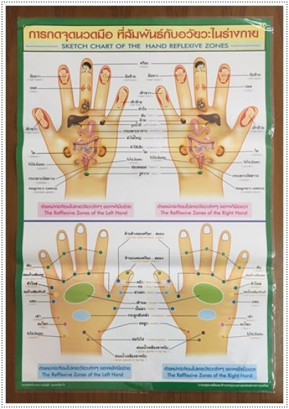 โปสเตอร์ กดจุดนวดมือ