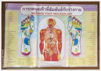 โปสเตอร์ กดจุดเท้าที่สัมพันธ์กับร่างกาย