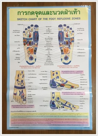โปสเตอร์ กดจุดและนวดฝ่าเท้า (ฟ้า)