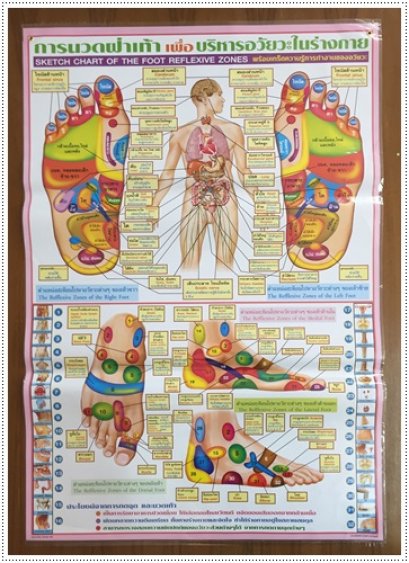 โปสเตอร์ นวดเท้าเพื่อบริหารอวัยวะ (ชมพู)