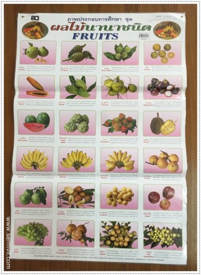 โปสเตอร์ ผลไม้นานาชนิด