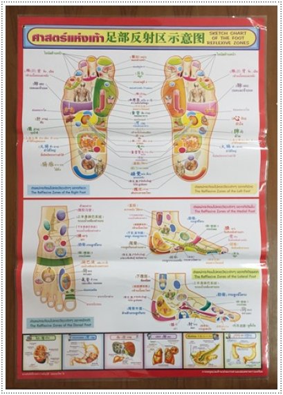 โปสเตอร์ ศาสตร์แห่งเท้า (แดง)