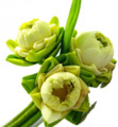 วันออกพรรษา