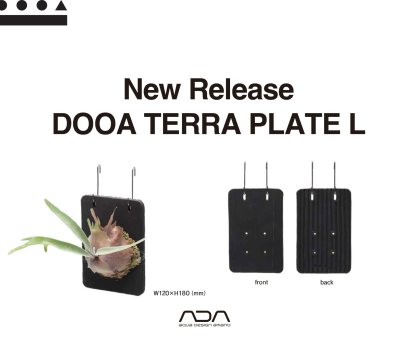 DOOA TERRA PLATE L