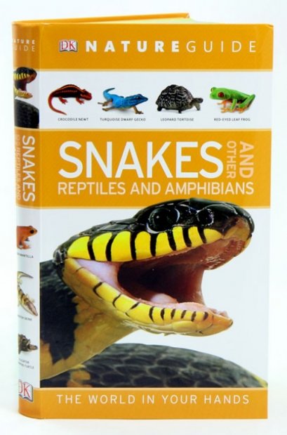 Nature guide snakes and other reptiles and amphibians. Book