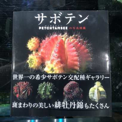 PETCHTAMSEE Book (ภาษาญี่ปุ่น)