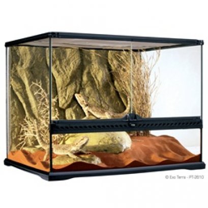 Exo Terra Wide Terrarium - Medium - 60 x 45 x 45 cm (24" x 18" x 18")