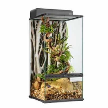  Exo Terra Advanced Paludarium & Rainforest Terrarium - Small X-Tall - 45 W x 45 D x 90 H cm (18” x 18” x 36”)