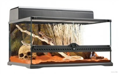 Exo Terra Natural Terrarium - Advanced Reptile Habitat - Low - 24" x 18" x 12"