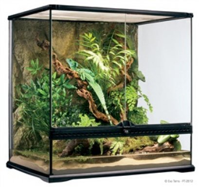 Exo Terra Tall Terrarium - Medium - 60 x 45 x 60 cm (24" x 18" x 24")