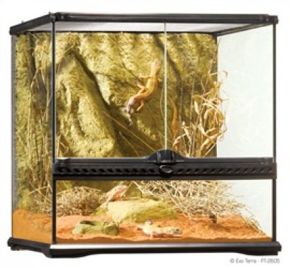 Exo Terra Wide Terrarium - Small - 45 x 45 x 45 cm (18" x 18" x 18")