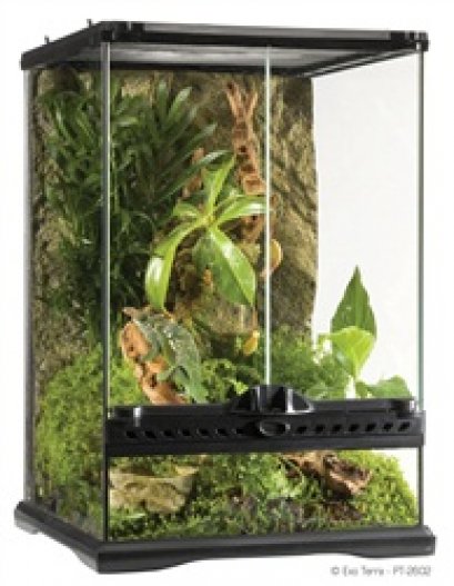 Exo Terra Mini Tall Terrarium - 30 x 30 x 45 cm (12" x 12" x 18")