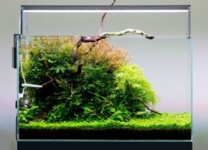 Twinstar Aquarium LED Light 450E 450E 45cm Full Spectrum RGB