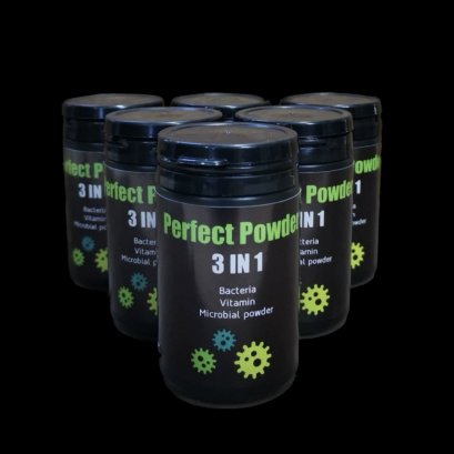 Perfect​ Powder​ 3IN1​ แบคทีเรีย วิตามิน​ ผงจุลินทรีย์​