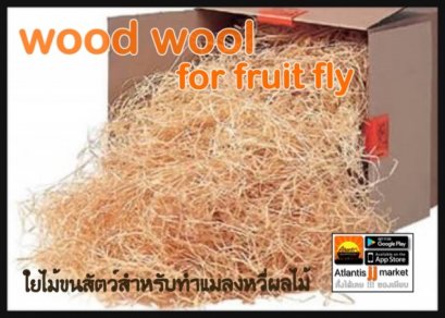 wood wool สำหรับ fruit fly และ สัตว์เลื้อยคลาน