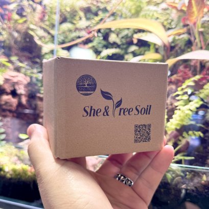 She&TreeSoil
