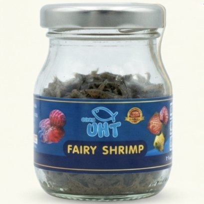 UHT Fairy Shrimp