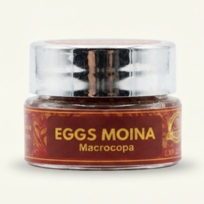 UHT EGGS MOINA