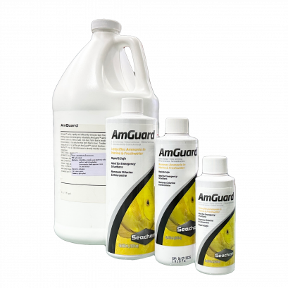 Seachem AmGuard ลดค่าแอมโมเนียแบบเร่งด่วน ภายใน 72 ชม.