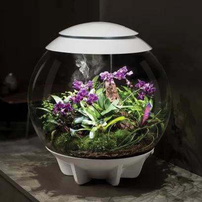 BIORB AIR 60 LED Terrarium