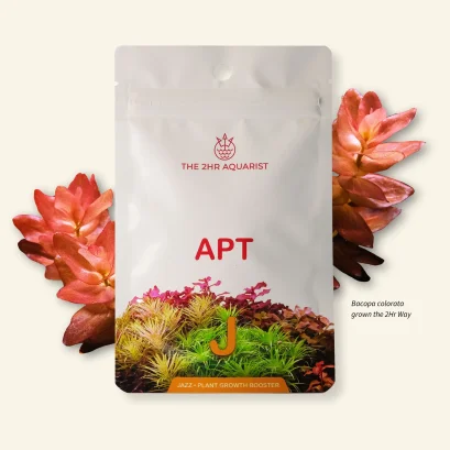 2Hr Aquarist APT Jazz