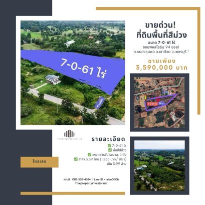 紫色工业区！出售土地 7-0-61 莱佛丕府Khao Yoi 县 Nong Chumpho 区 ，适合建工厂或仓库，机会难得！