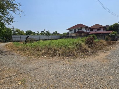 稀有地块！完美矩形转角地块。出售土地面积129.5平方哇，位于清迈府湄夏县丹纳路17巷（Tamnak Soi 17, Soi Ruamchai, Mae Hia 区），近清迈机场！