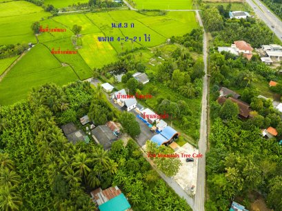 Land with Café and Houses for Sale – 4-2-21 Rai (≈1,821 sq.wah) Panoramic Mountain &amp; Rice Field View – Kaeng Sian, Mueang Kanchanaburi An investment opportunity that blends nature, business, and creativity in one unique location.