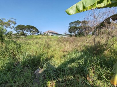 Land for Sale 200 sq.wah Soi Muban Keha Kaset 23, Nong Phrao Ngai, Sai Noi, Nonthaburi Below Market Price, Ideal for Investment or Self-Sufficient Living