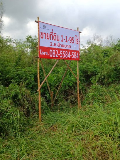 ขายแล้วครับ ขอบคุณที่สนใจ ขายด่วนมาก ราคานี้หาไม่ได้แล้ว !! ขายที่ดินแปลงสวย 1 -1-95 ไร่ เชีนงรากน้อย บางปะอิน พระนครศรีอยุธยา! เหมาะสร้างบ้านหรือซื้อเก็บ!! ใกล้โลตัส บางปะอิน !