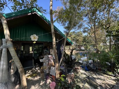 Organic Farm for Sale – Ready to Use | Size 1-1-91.6 Rai Perfect for new-generation farmers seeking a sustainable lifestyle with stable income. Ch. Weerasu Organic Farm is ideal for farm stays, agro-tourism