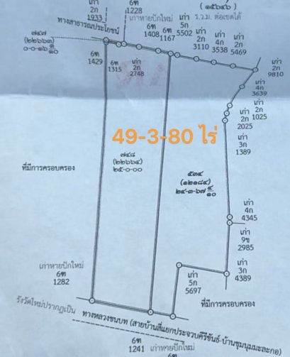 空地出租近50莱（25莱可分租），地块漂亮，紧邻主干道，Ban Si路口，巴蜀府-Ban Chum Malakor，巴蜀县，近Makro-Lotus，急租！