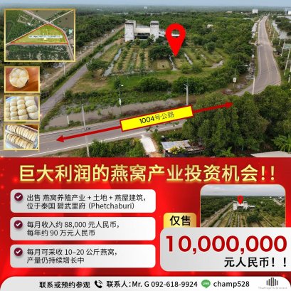 A Rare Business Opportunity &mdash; Swiftlet Nest Farm with Huge Profit Potential!! For Sale: Land, Buildings, and Swiftlet House Business in Phetchaburi Province Generates over 900,000 Yuan per year in income!