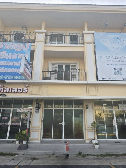 commercial building in Bangna / shophouse near ABAC Bangna Located in Ritzville project