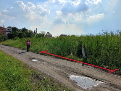 FOR SALE: 100 Sq. Wah Land Plot – Soi Wat Paen Thong (Hathairat 39)