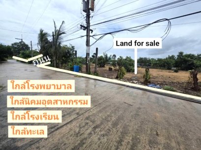 อยู่เองก็ง่าย สร้างบ้านขายก็รวย !!! ขายที่ดิน 178 ตรว. ตำบลนาตาขวัญ อำเภอเมือง จังหวัดระยอง