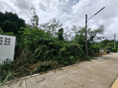 ตัดใจขาย ที่ดินแปลงสวย 112 ตร.ว. ทางเกวียน แกลง ระยอง ผังเหลือง เหมาะสร้างบ้านครอบครัวใหญ่ พร้อมพื้นที่จัดสวน มีแบบบ้านให้