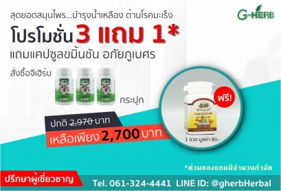 แคปซูลขมิ้นชัน อภัยภูเบศร