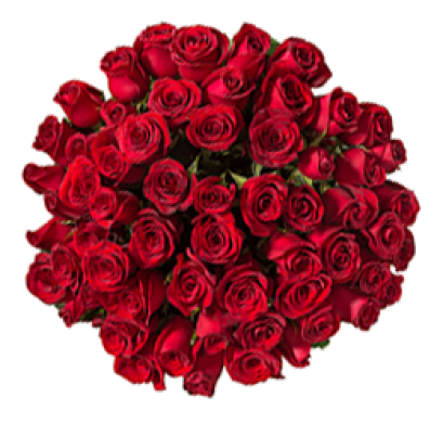 Rose Perfect Gift
