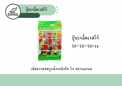20-20-20TE